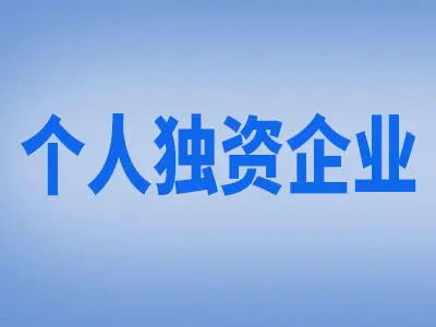 個人獨(dú)資企業(yè)