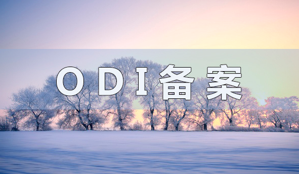 ODI存量權益